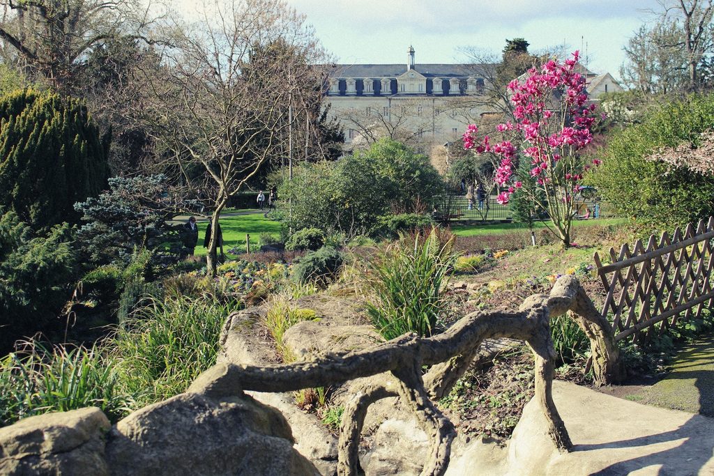 Jardin des Plantes d'Angers (Botanic Garden of Angers), Angers