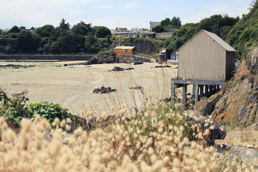 Réserve Naturelle de la Baie de Saint-Brieuc (Natural Reserve of the Bay of Saint-Brieuc), Saint-Brieuc