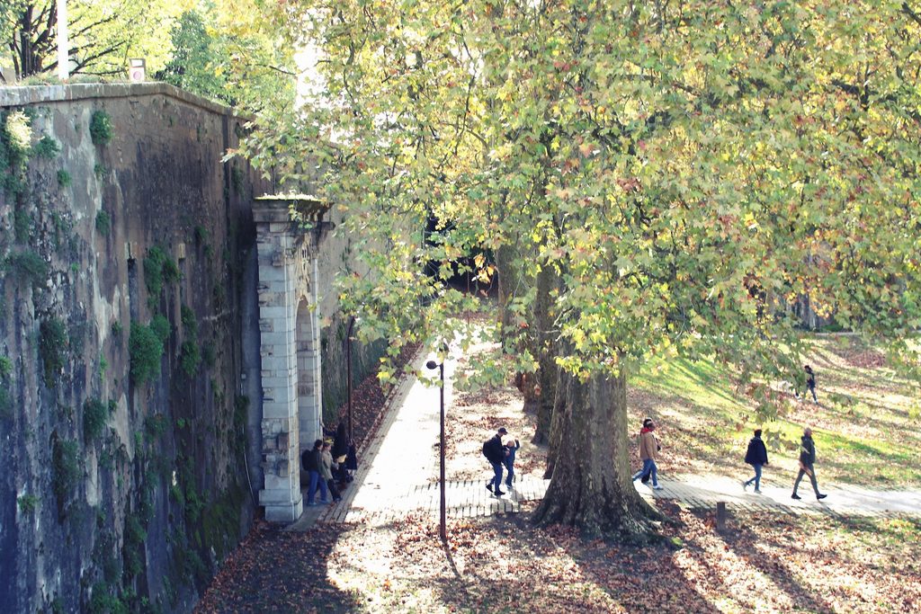 Jardin Botanique de Bayonne (Botanical Garden of Bayonne), Bayonne