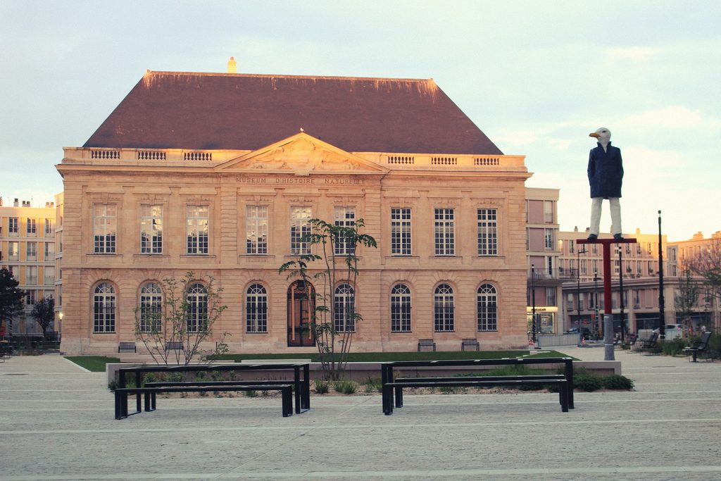 Muséum d’histoire naturelle (Museum of Natural History), Le Havre