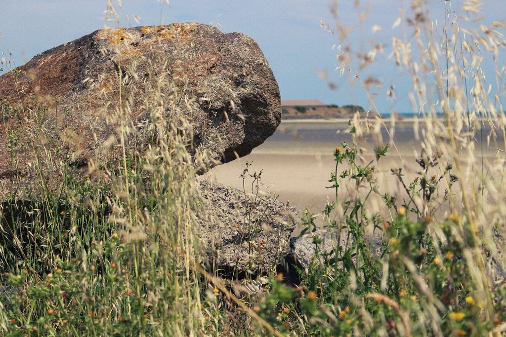 Réserve Naturelle de la Baie de Saint-Brieuc (Natural Reserve of the Bay of Saint-Brieuc), Saint-Brieuc