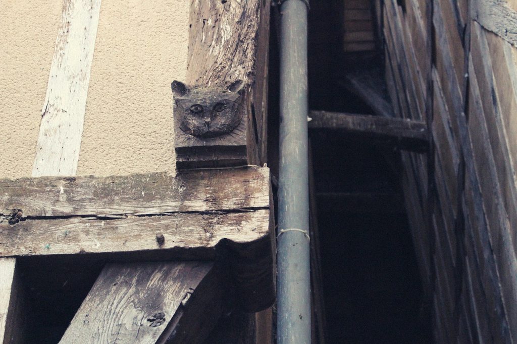 Ruelle des Chats (Cat Alley), Troyes